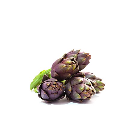 Carciofo violetto di ramacca