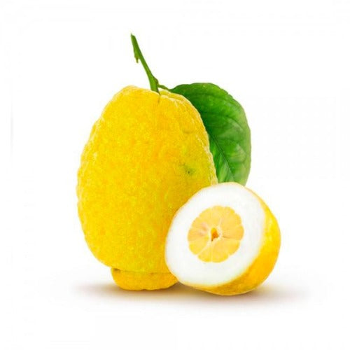 Cedro siciliano